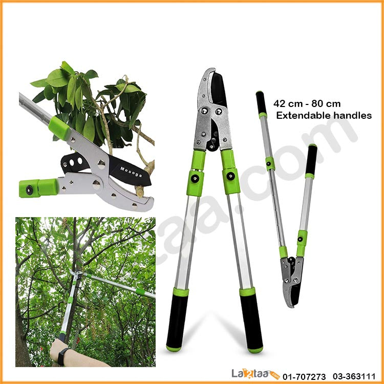 Extendable Garden Shear