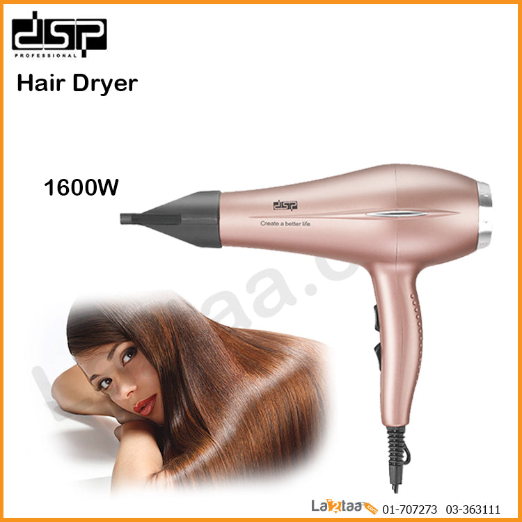 DSP-Hair Dryer