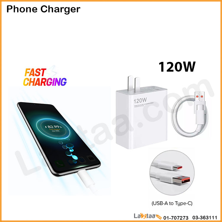 120W Mobile Charger