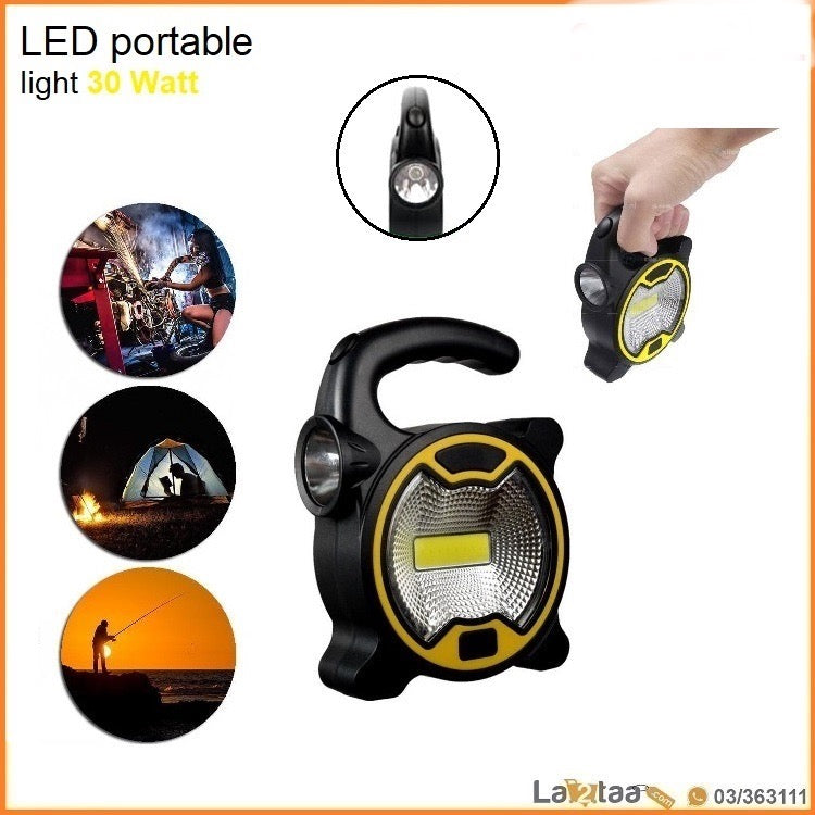 LED portable light