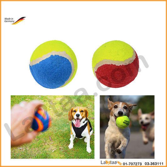 dog tennis balls toy