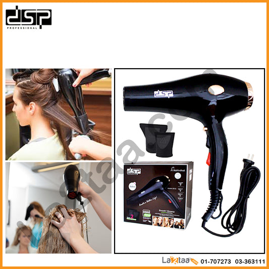 dsp -hair dryer 30101