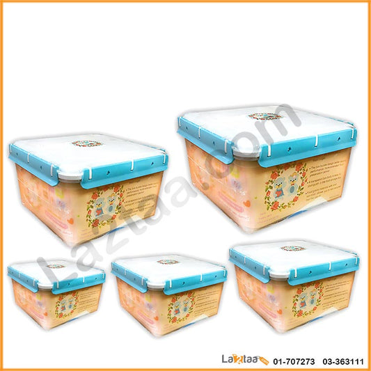 storage boxes set